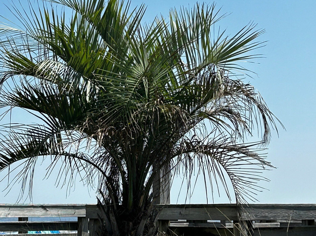 Litchfield Beach-Litchfield Beach必去景点