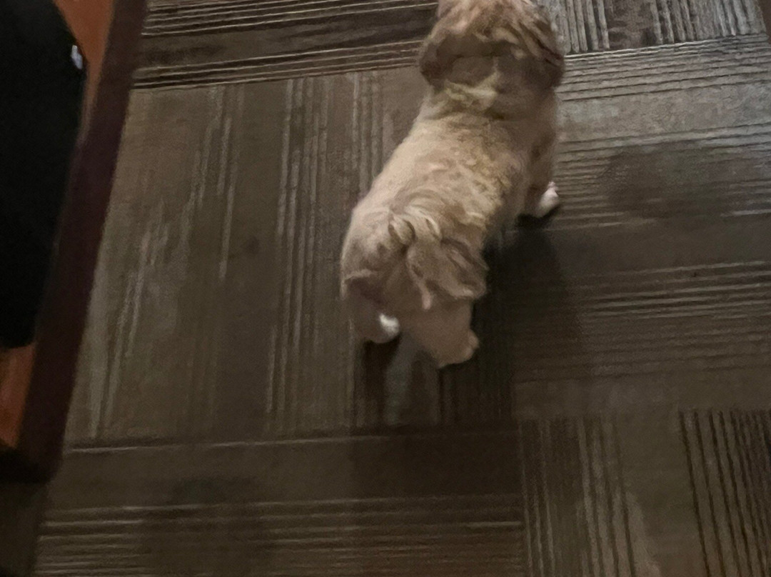 拉科恩塔艾达荷福尔斯旅馆和套房酒店主图