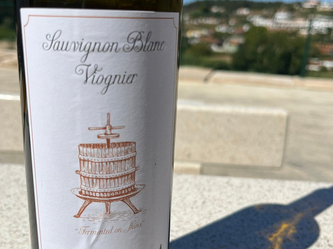 Vinhos Cortém景点图片