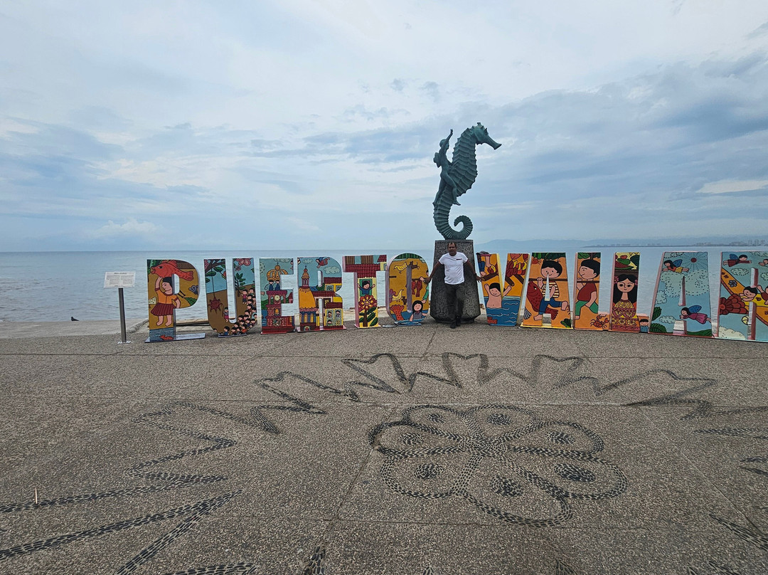 El Centro-瓦拉塔港必去景点