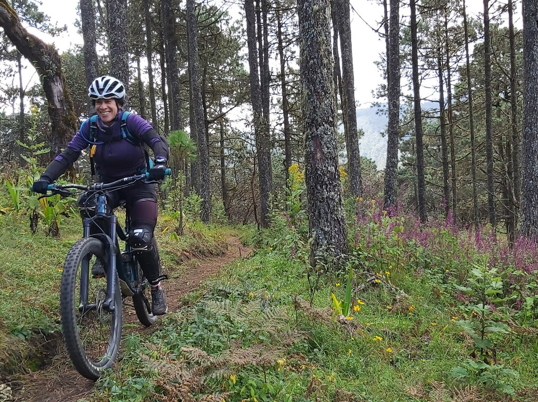 Bicicletas Pedro Martinez-瓦哈卡必去景点