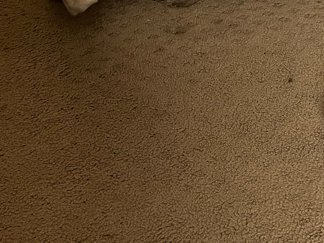 Fredericton Inn主图