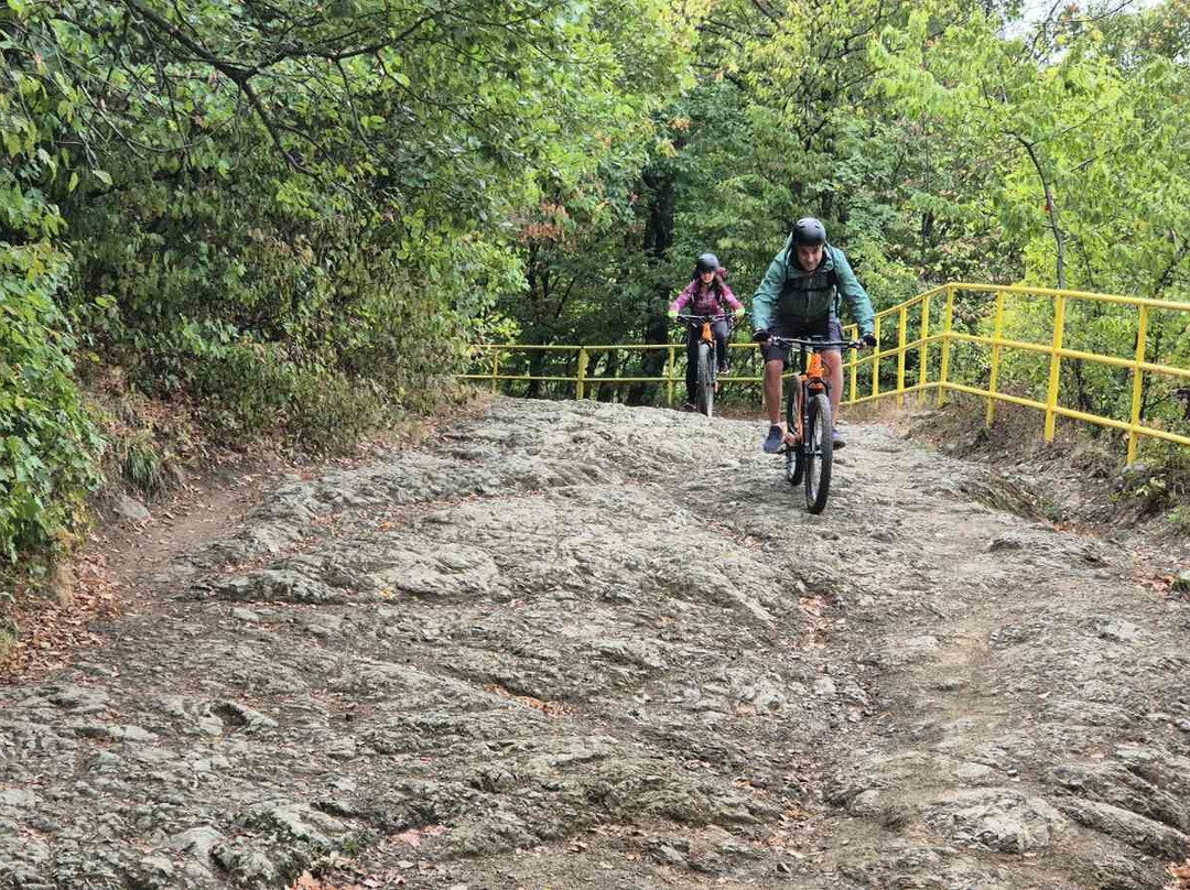 One Day Adventure-索非亚必去景点