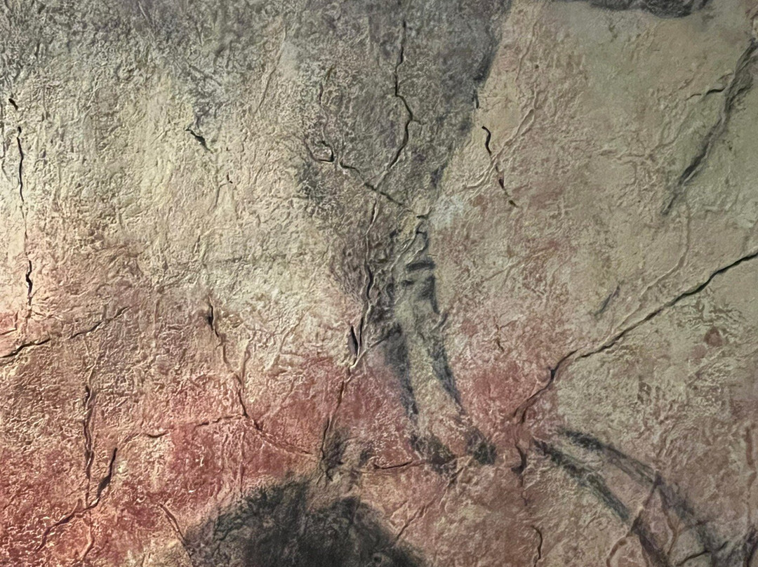 Cueva de Tito Bustillo-里瓦德塞利亚必去景点