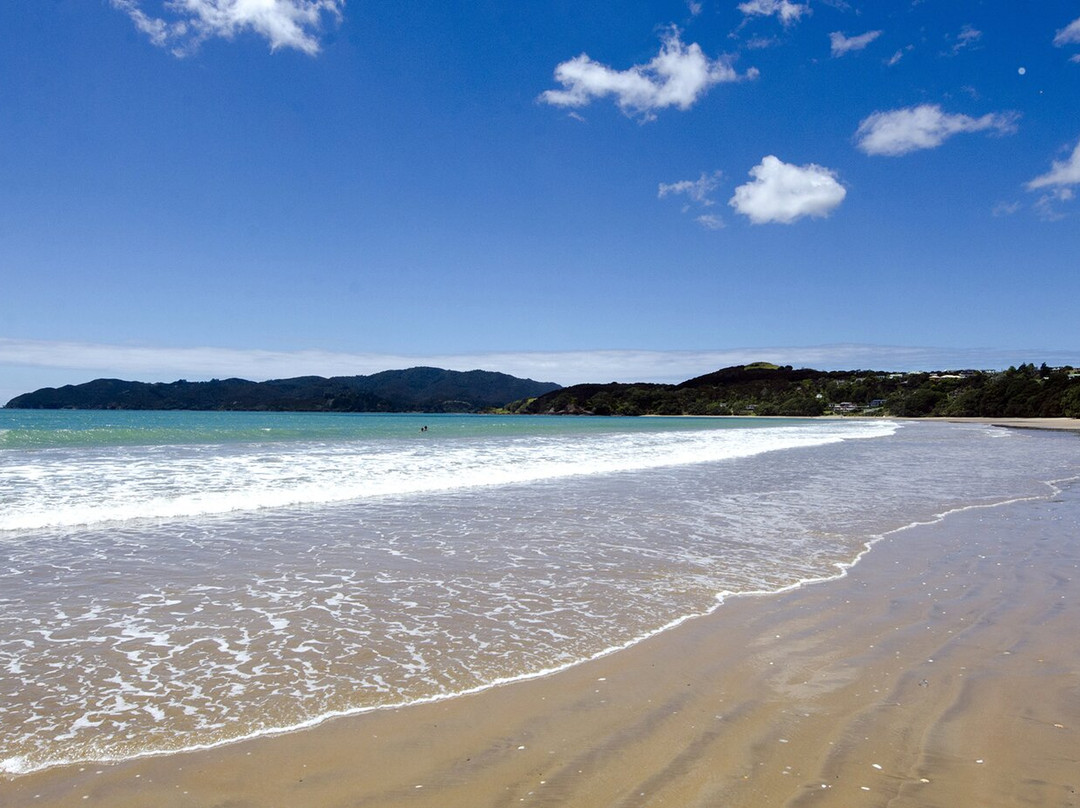 特里汗平房主图