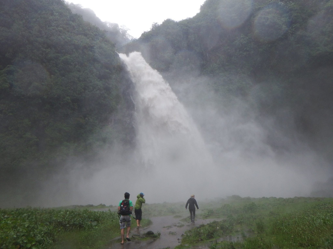 Rainforest Rafting / Kayaking-Baeza必去景点