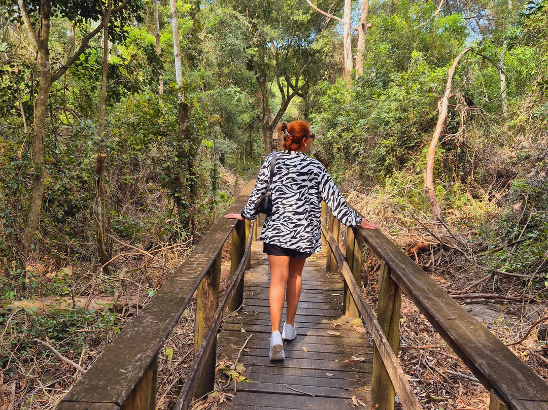 Ruinas do Rio Salinas-Anchieta必去景点