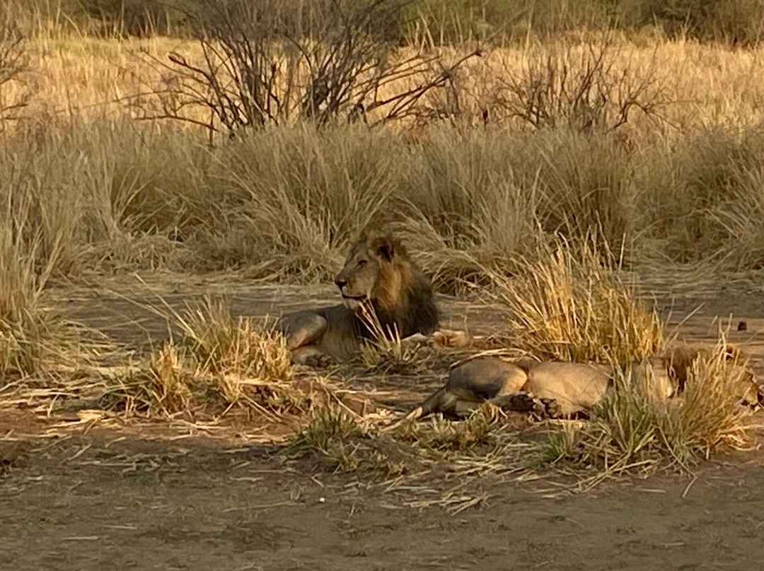 Lower Zambezi National Park-卢萨卡必去景点