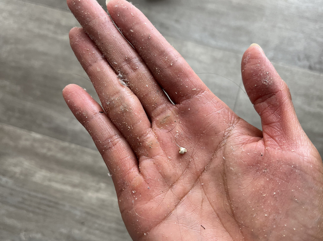 斯基亚索斯岛宫殿酒店主图