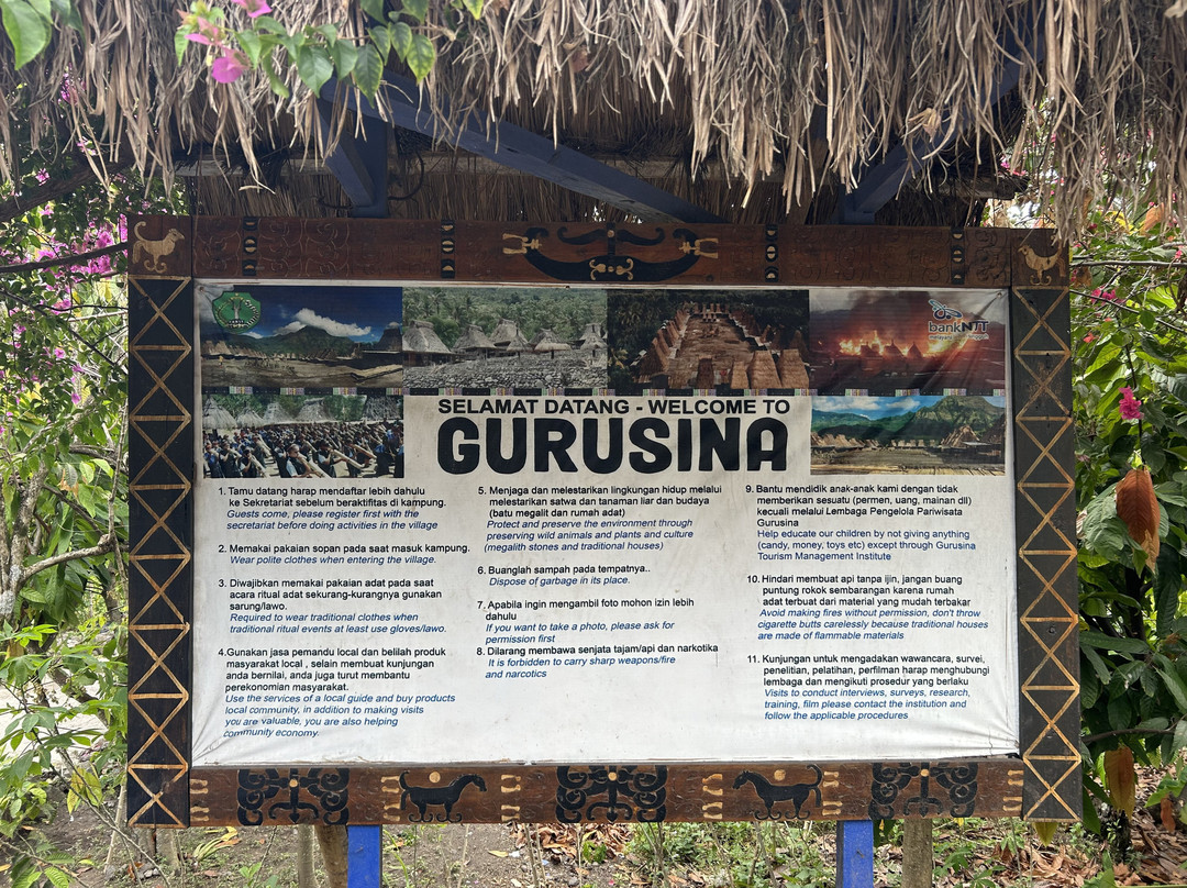 Gurusina Traditional Village景点图片