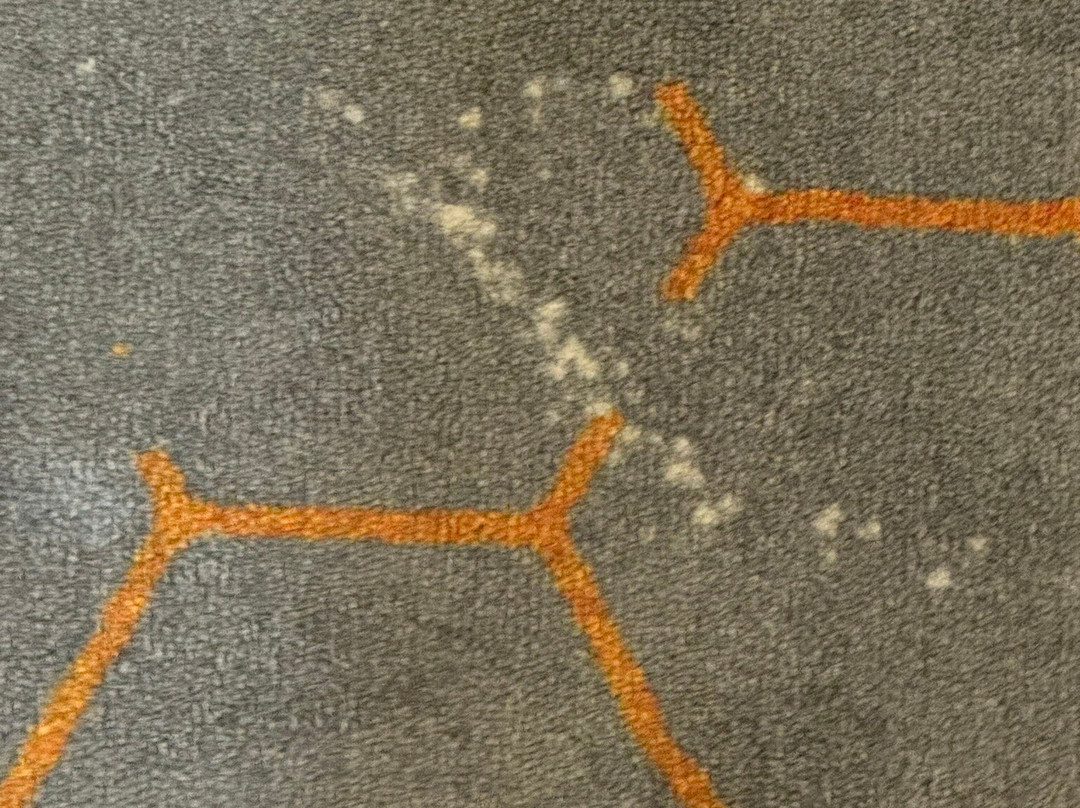 布法罗国际机场假日酒店主图