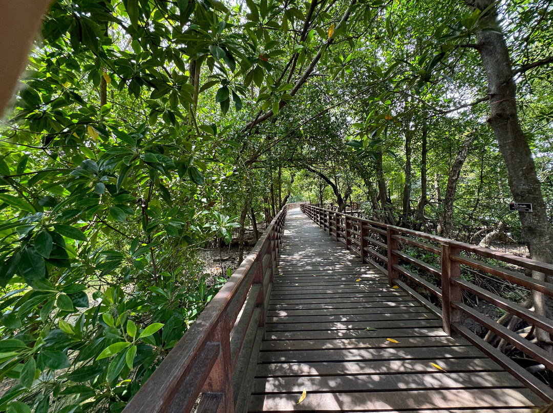 Mangrove Forest Learning Center-罗勇必去景点