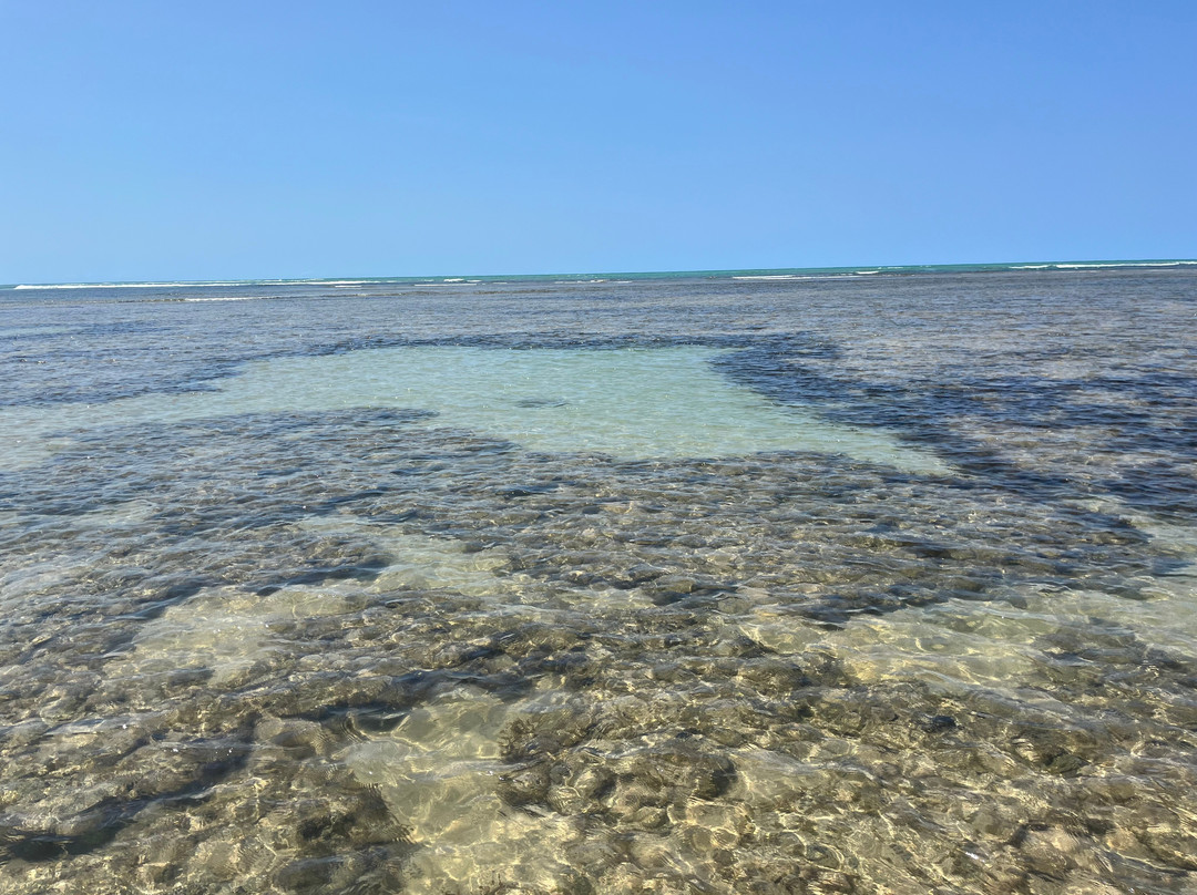 Ponta de Itapororoca-特兰科苏必去景点