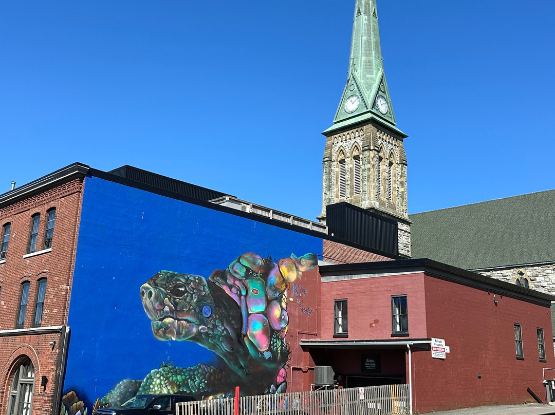 Trinity Galleries-圣约翰必去景点