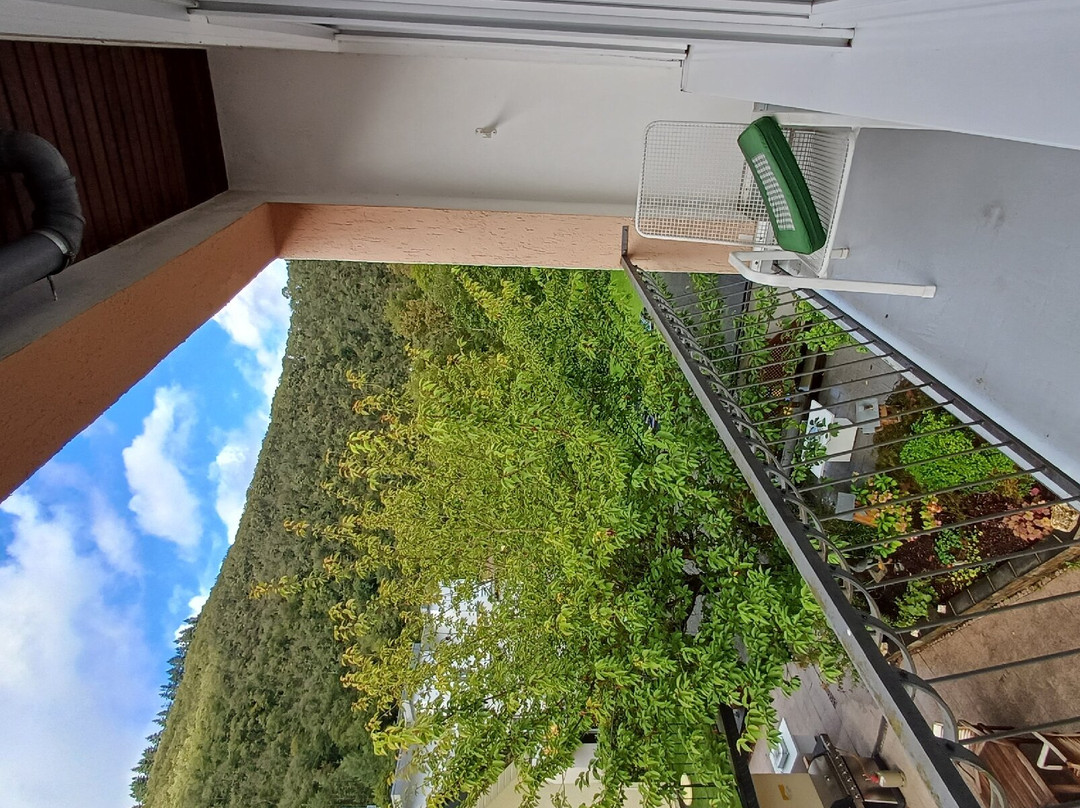 Haus Hohenzollern主图