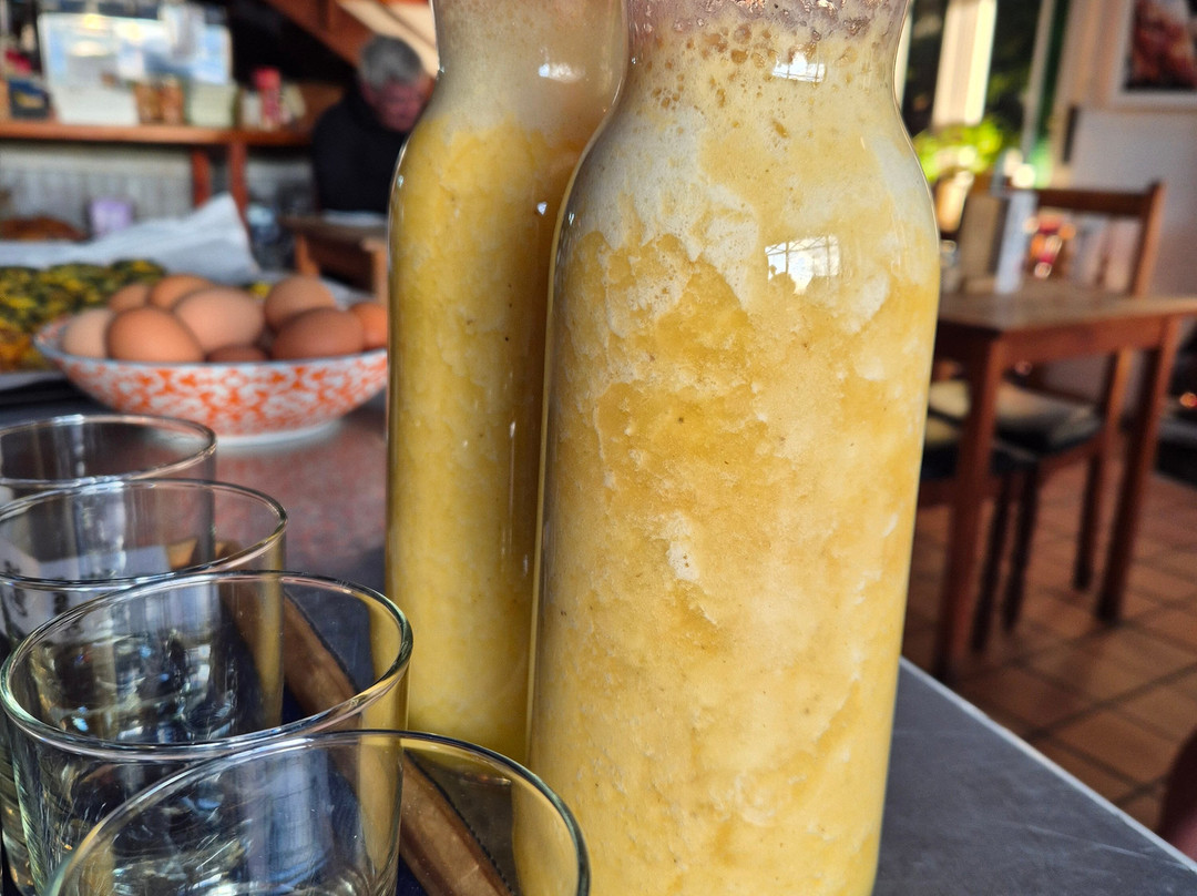 Karoo GravelGrinder-Prince Albert必去景点