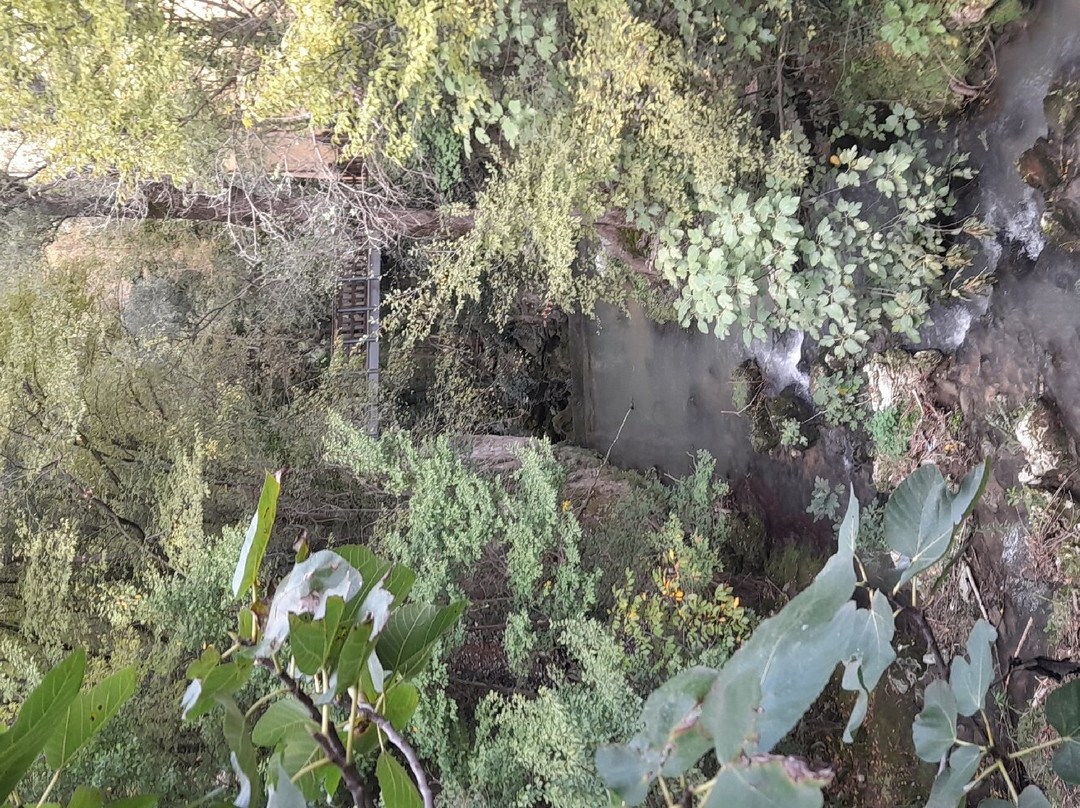 Sentiero Li Vurgacci景点图片