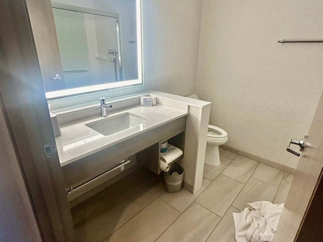 Holiday Inn Express & Suites Burley By IHG主图