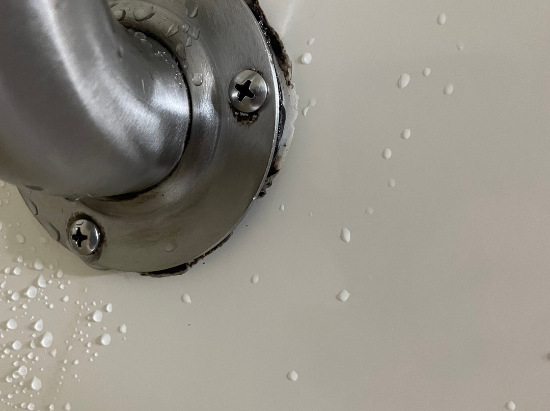 贝斯特韦斯特布拉德伯里旅馆&套房酒店主图