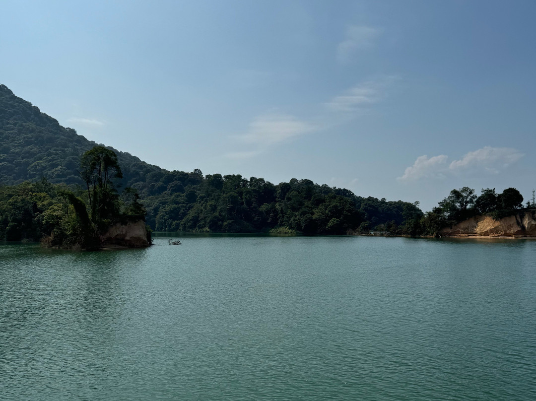 万绿湖景点图片