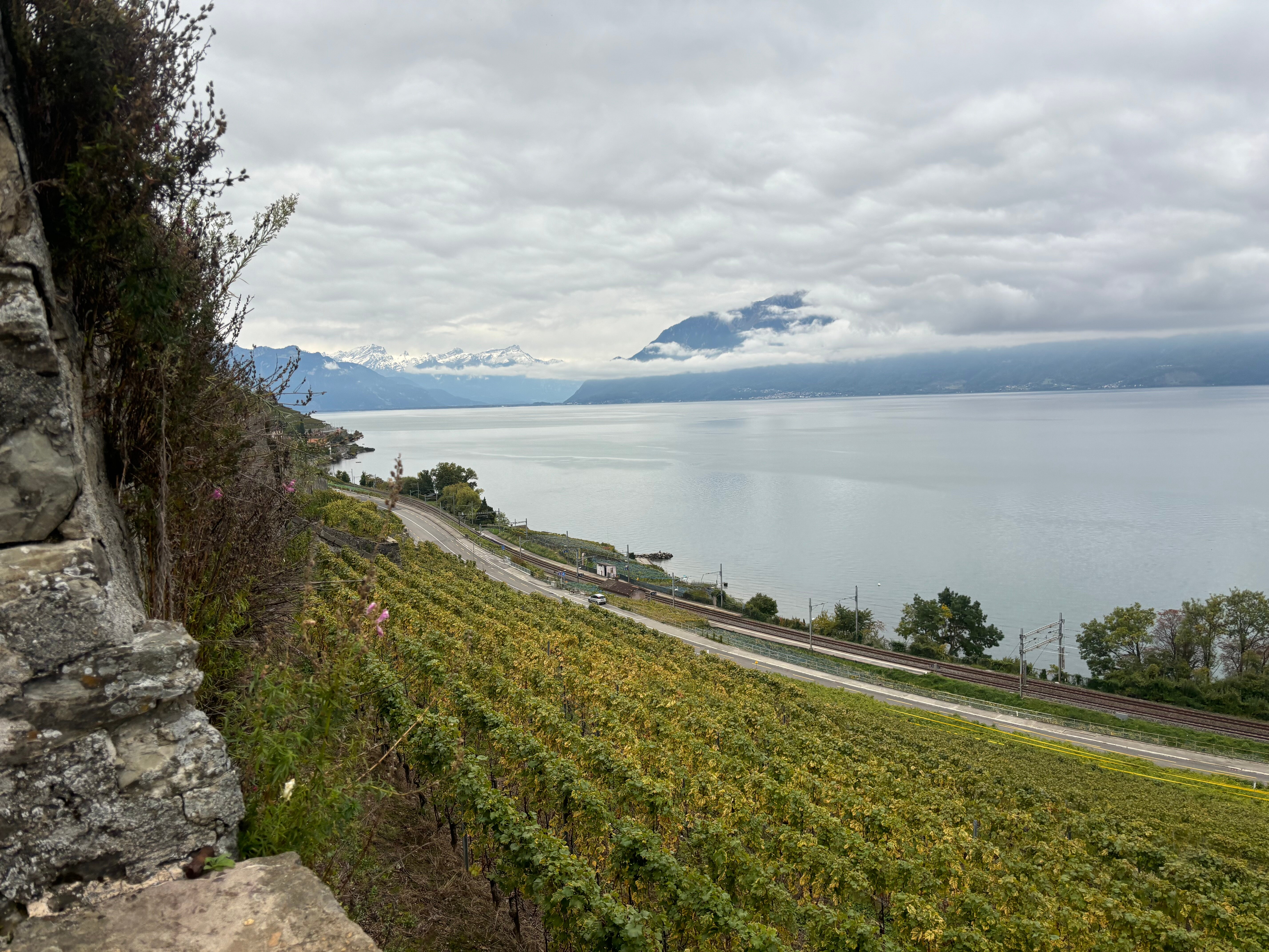 Hotel Lavaux-酒店景观