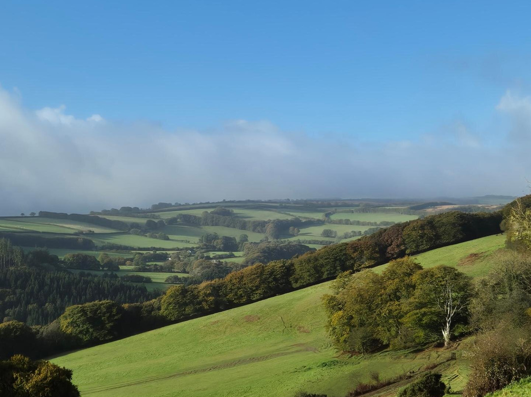Exmoor Wildlife Safaris景点图片