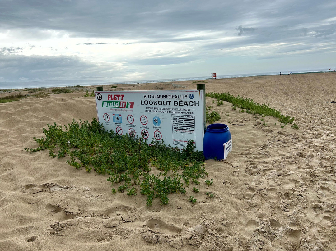 Whale Tail Lookout Point-普利登堡湾必去景点