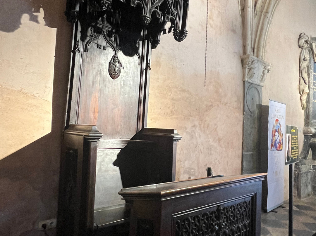 Catedral de Notre Dame-格勒诺布尔必去景点