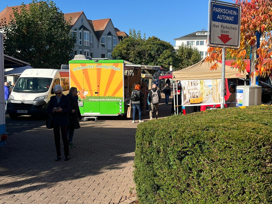 Hofheimer Wochenmarkt景点图片