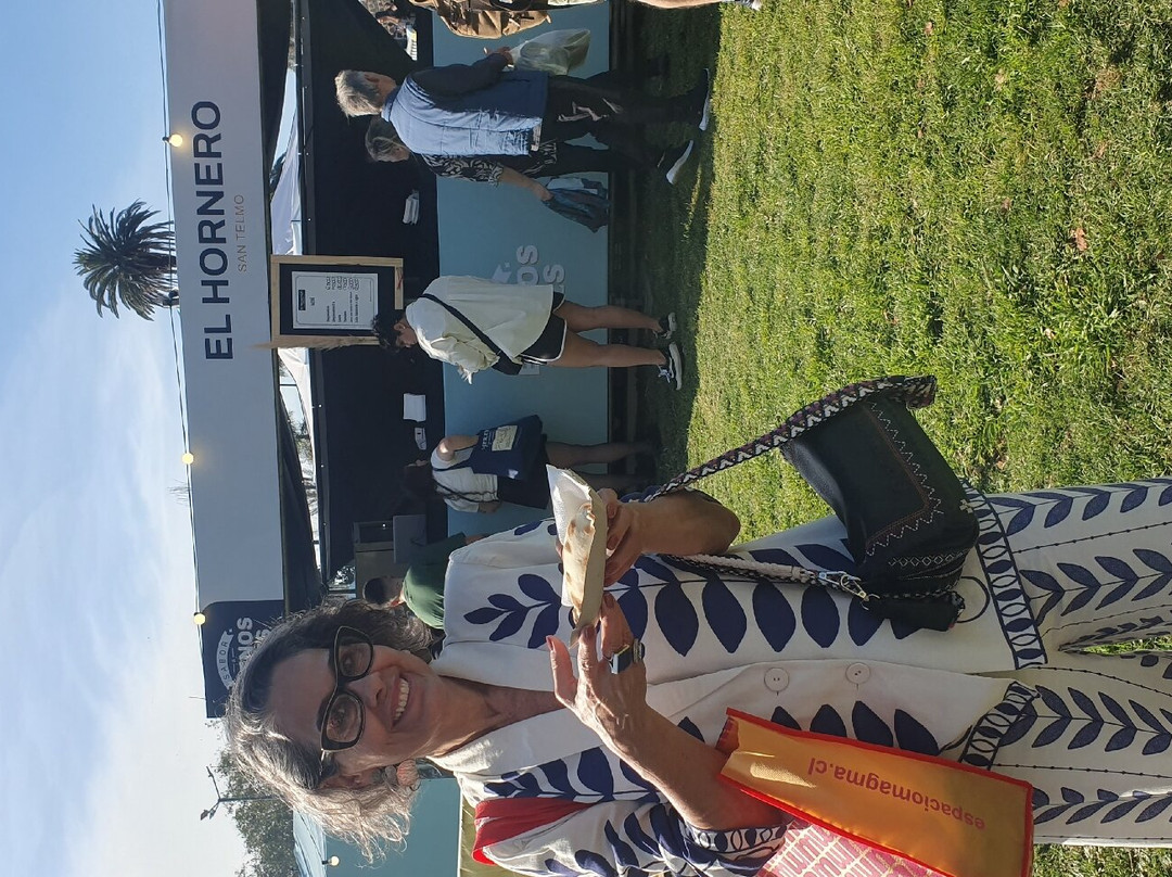 Plaza Francia-布宜诺斯艾利斯必去景点