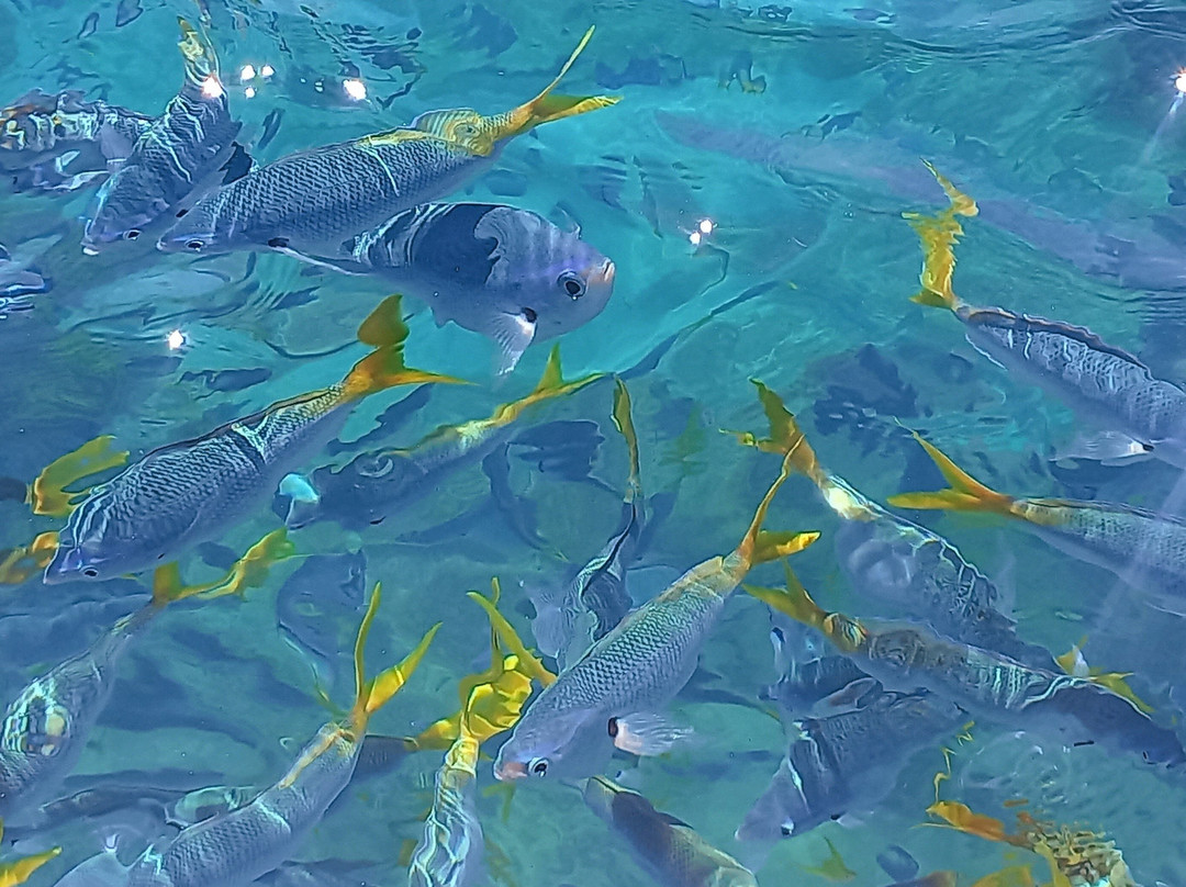 Whitsundays 2 Everywhere-艾尔利滩必去景点