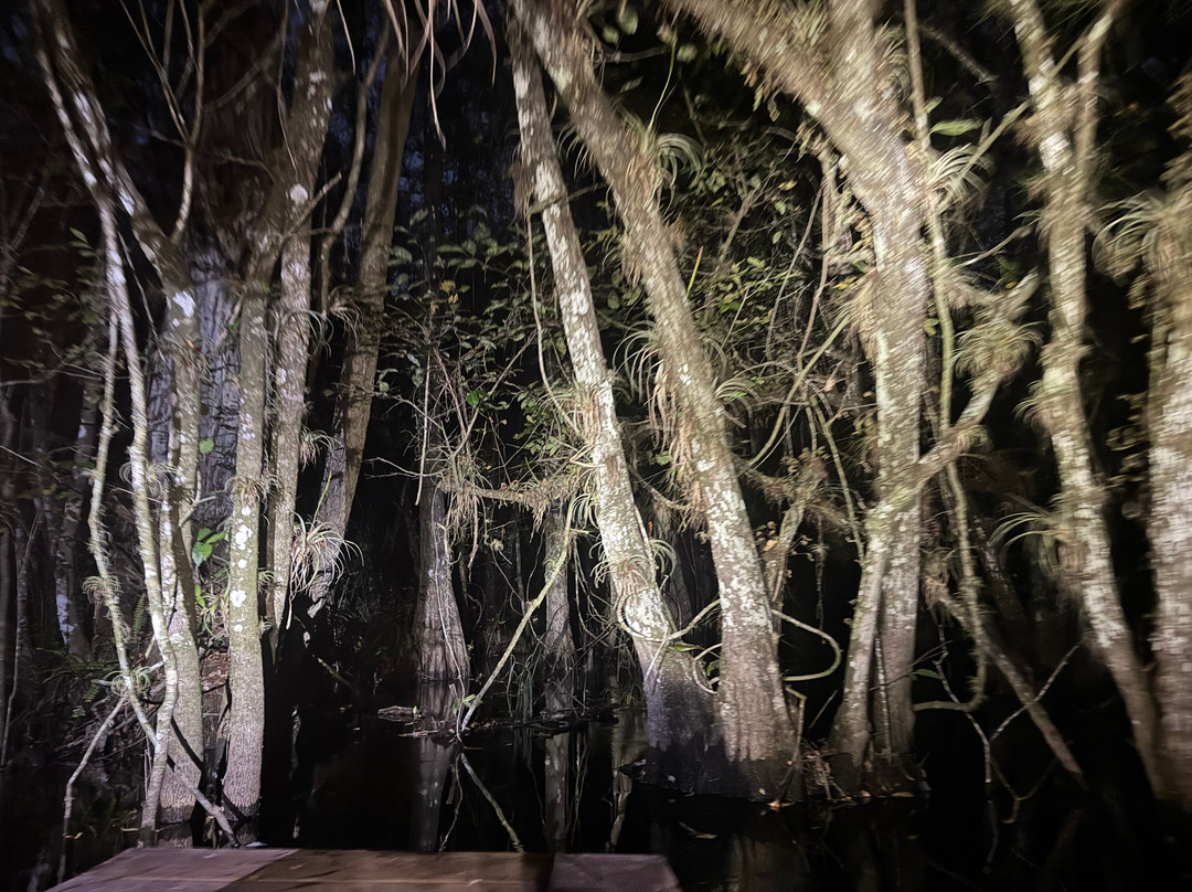 Everglades Adventure Tours-奥乔皮必去景点