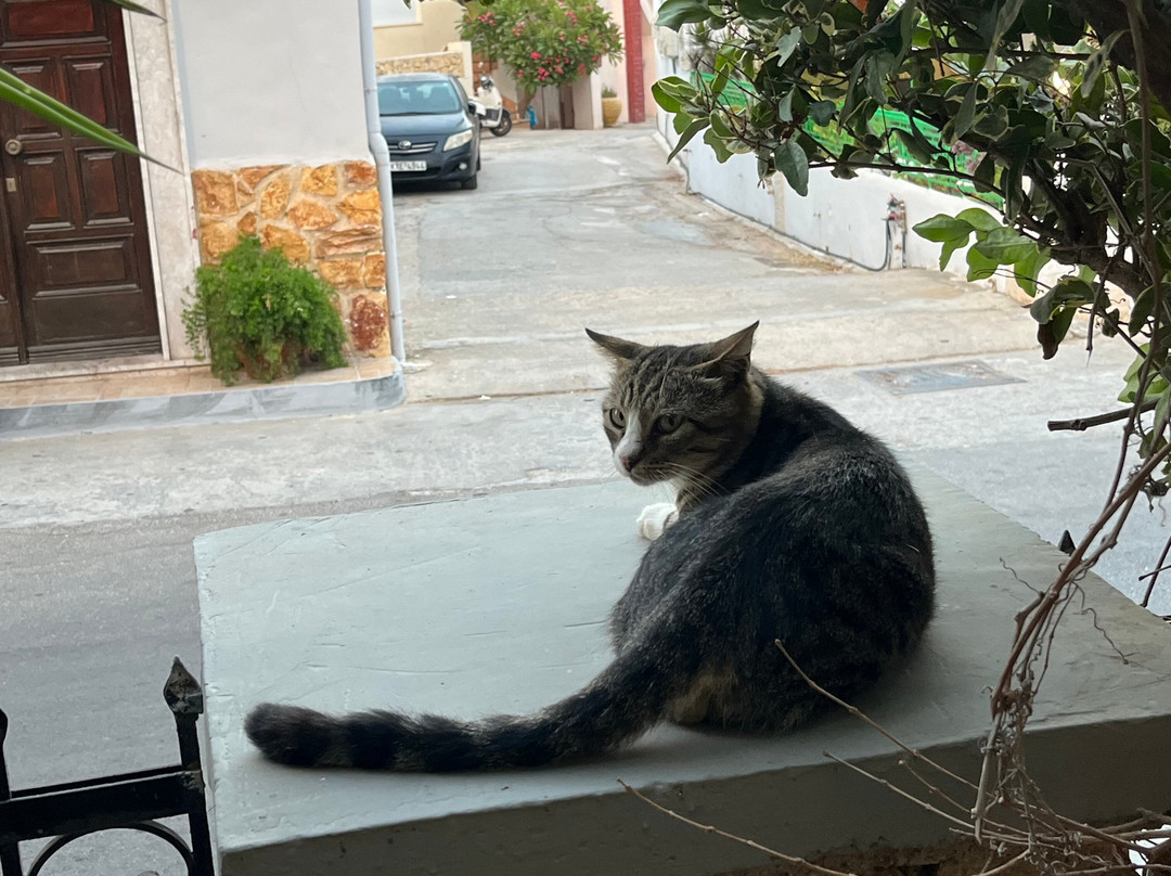 Kalydna Island Hotel主图