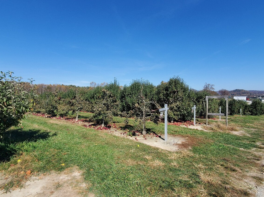 Stepp's Hillcrest Orchard-亨德森维尔必去景点