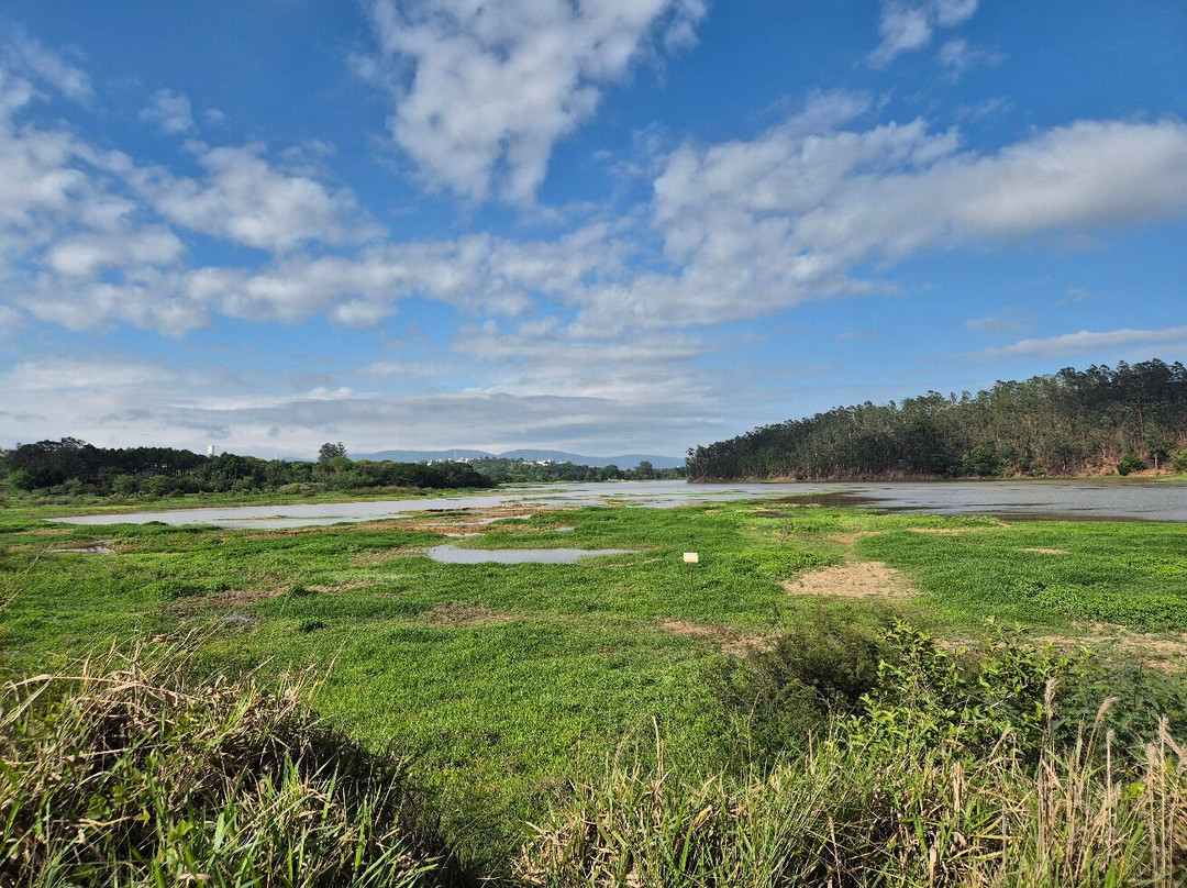 Parque Da Cidade-容迪亚伊必去景点