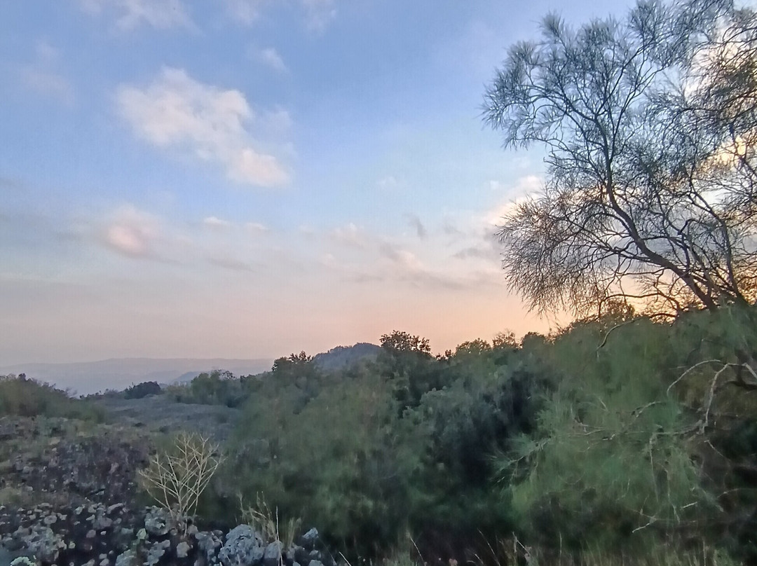 Etna Quad Excursion-Pedara必去景点