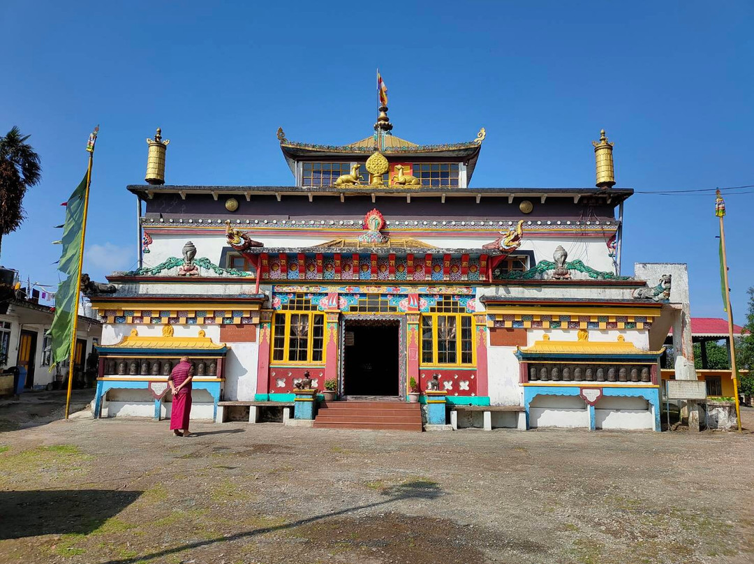 Darjeeling Treks and Tours景点图片