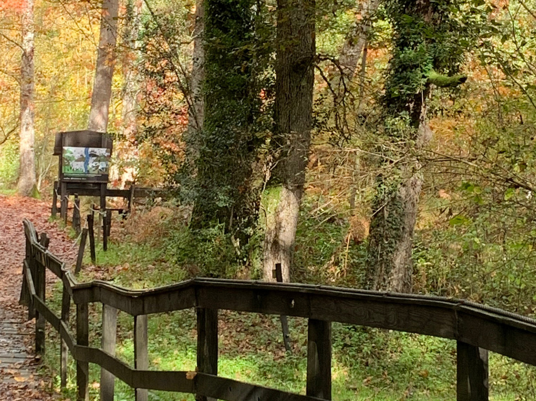 Bosque de Orgi-Lizaso必去景点