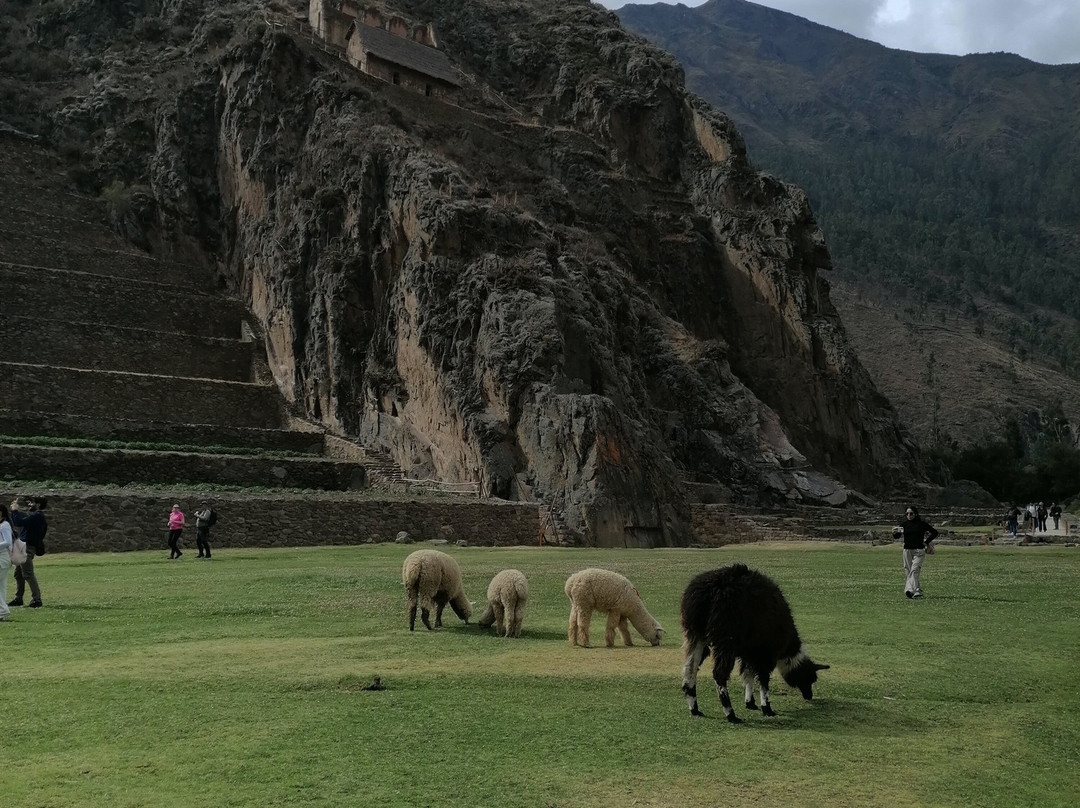 Chinchero Boutique Hotel & Tours主图