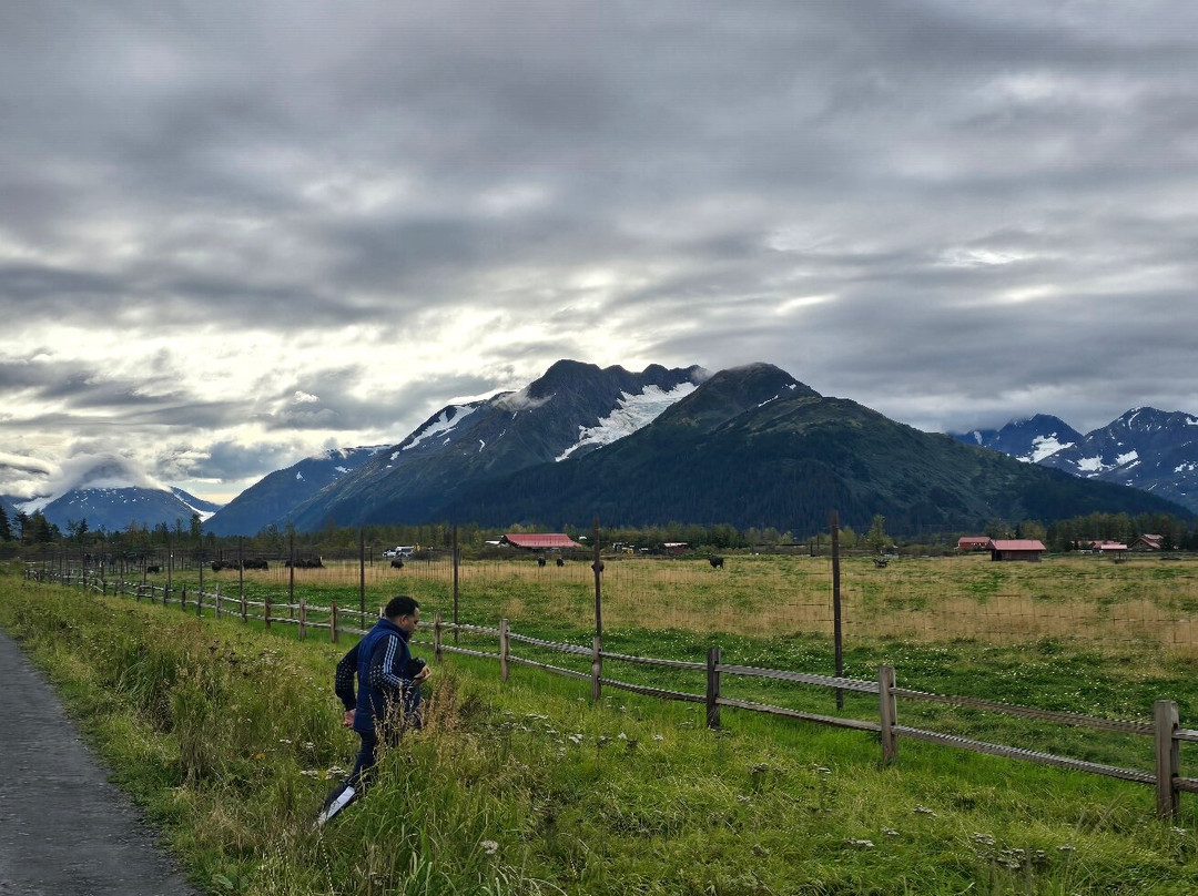 Kenai National Wildlife Refuge-索尔多特纳必去景点