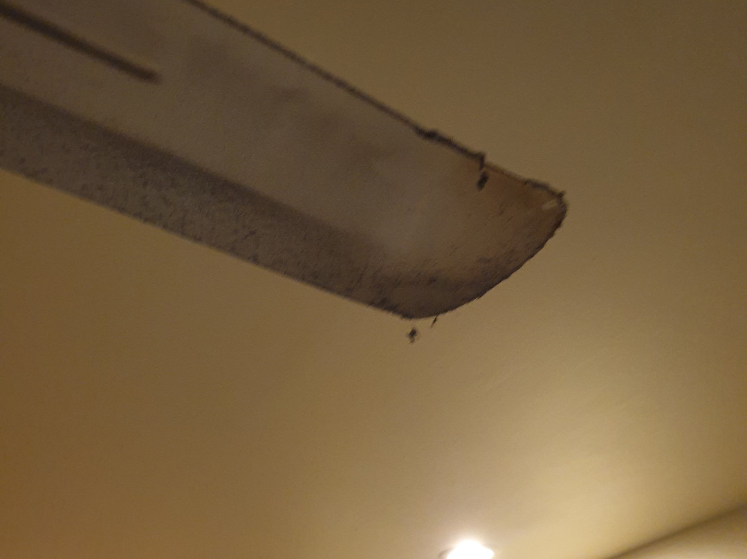 欧佩普莱斯酒店主图