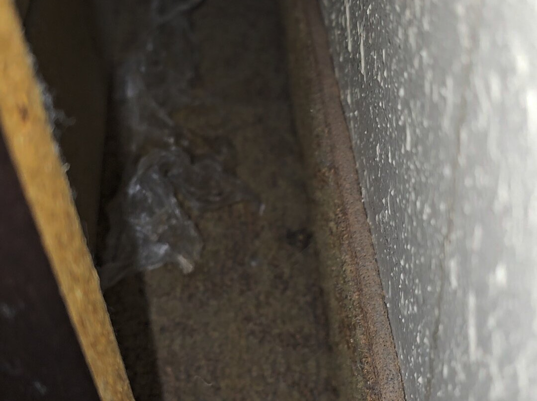 Country Inn & Suites by Radisson, Dundee, MI主图