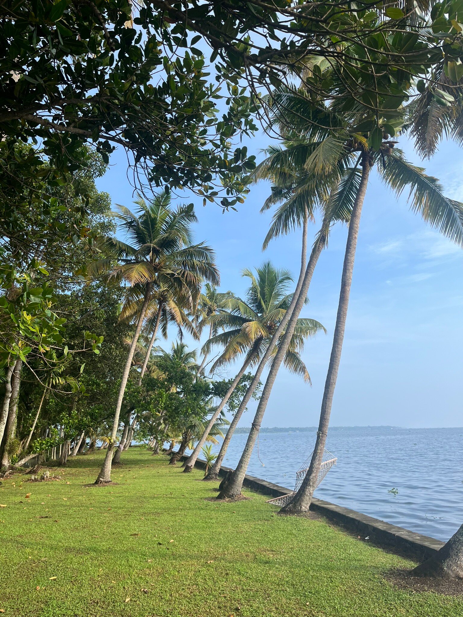 Vembanad House-官方