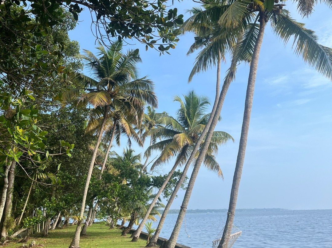 Vembanad House主图