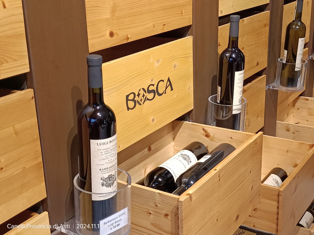 Cantine Bosca - Cattedrali Sotterranee景点图片