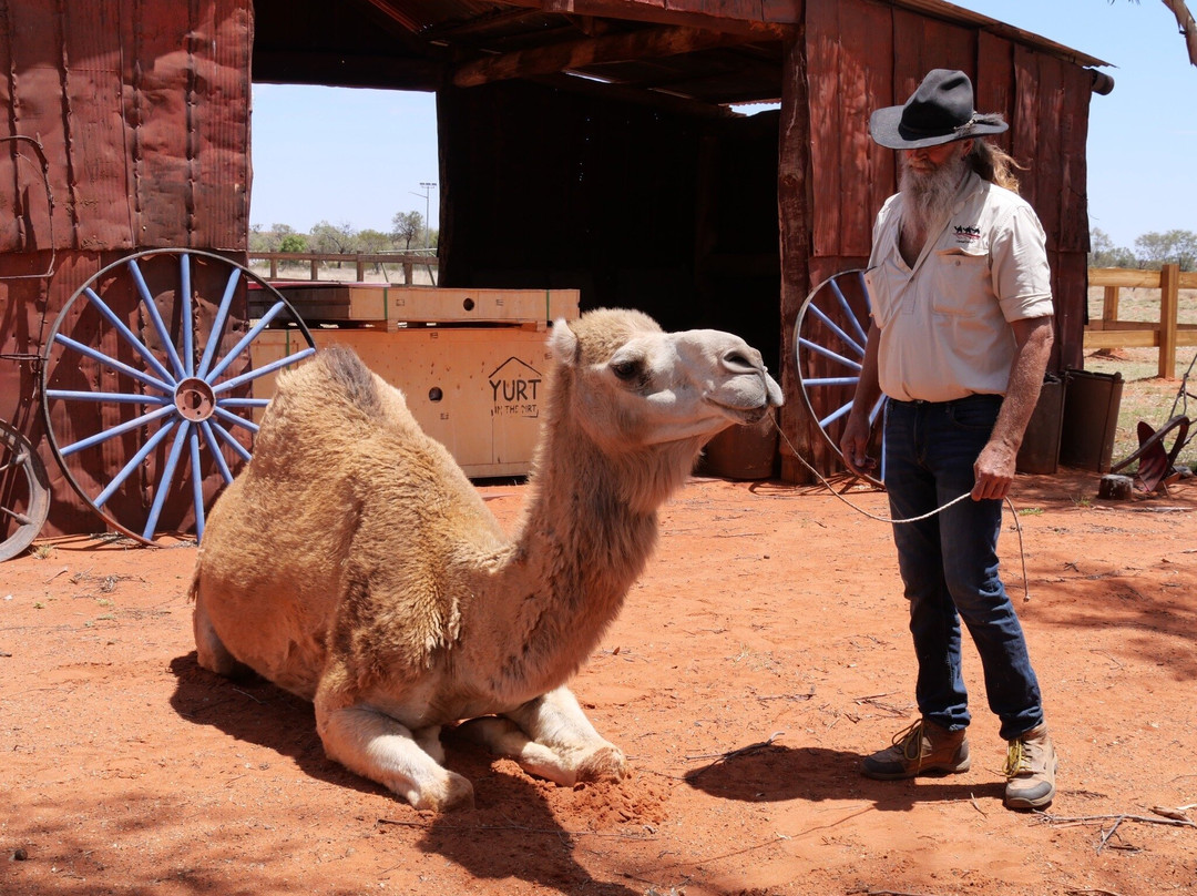 CamelToursNT-爱丽斯泉必去景点