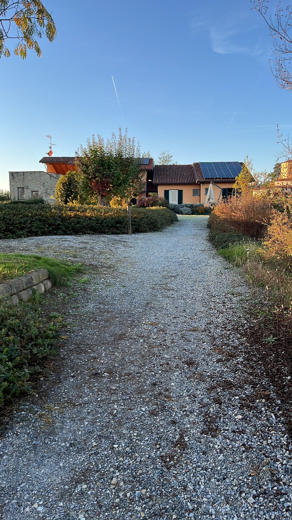 AliseA Eco Guest House-官方