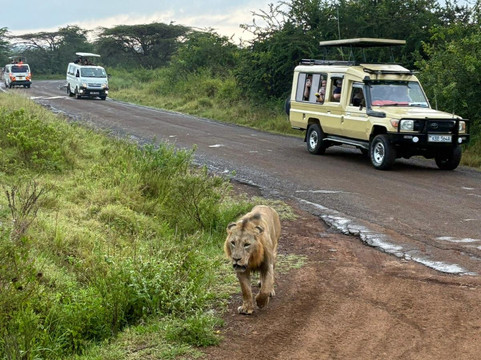 Epic Views Tours & Travel-内罗毕必去景点
