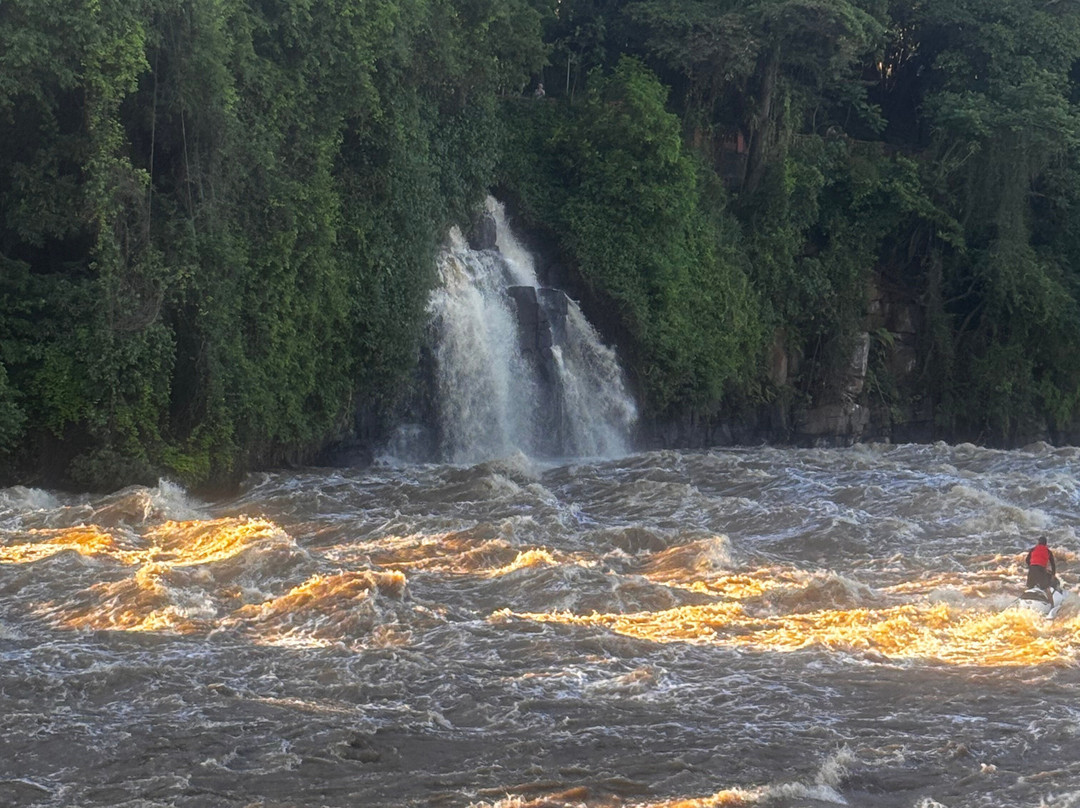 Aquario Municipal de Piracicaba-皮拉西卡巴必去景点