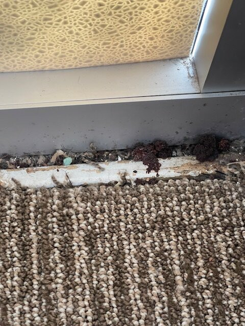 Comfort Inn & Suites Omaha Central主图